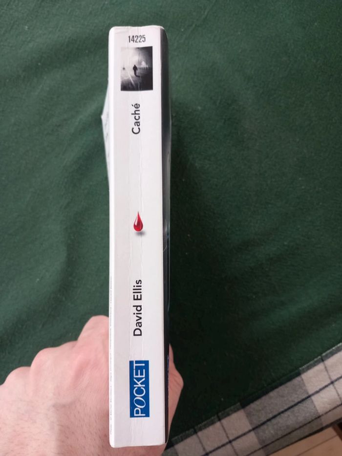 Caché - photo numéro 3