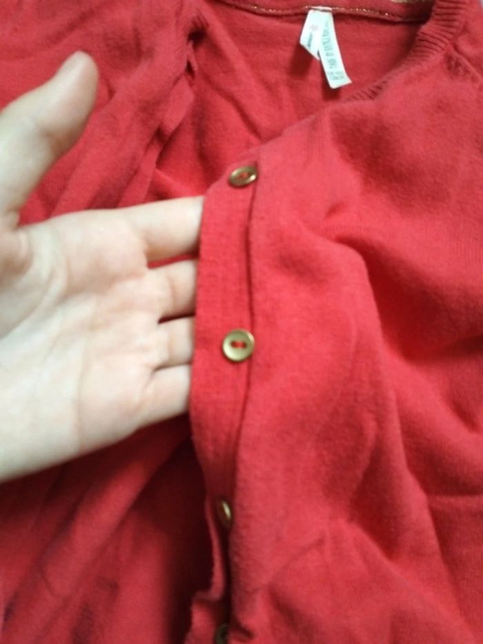 Gilet rouge - photo numéro 3
