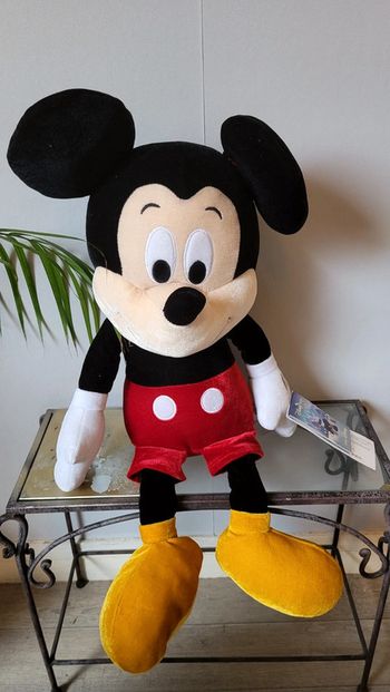 Mickey Make a Wish