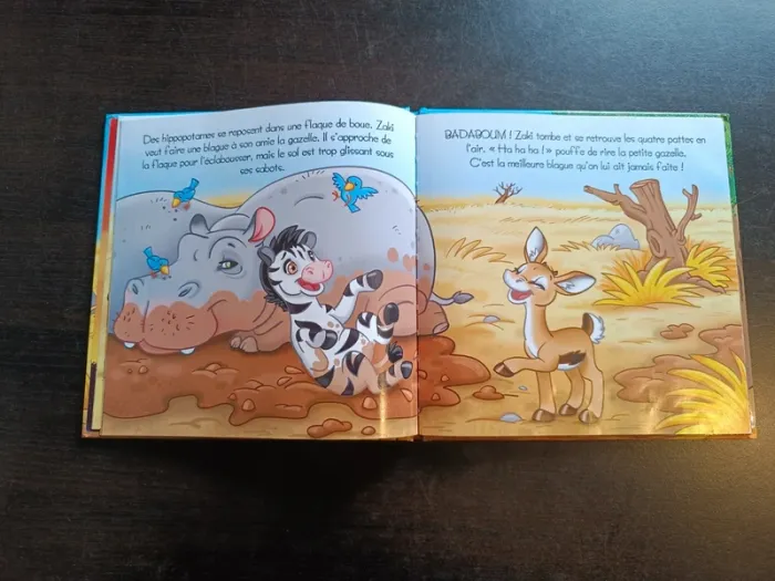 Livre LE FABULEUX VOYAGE DE ZAKI LE ZÈBRE - photo numéro 5