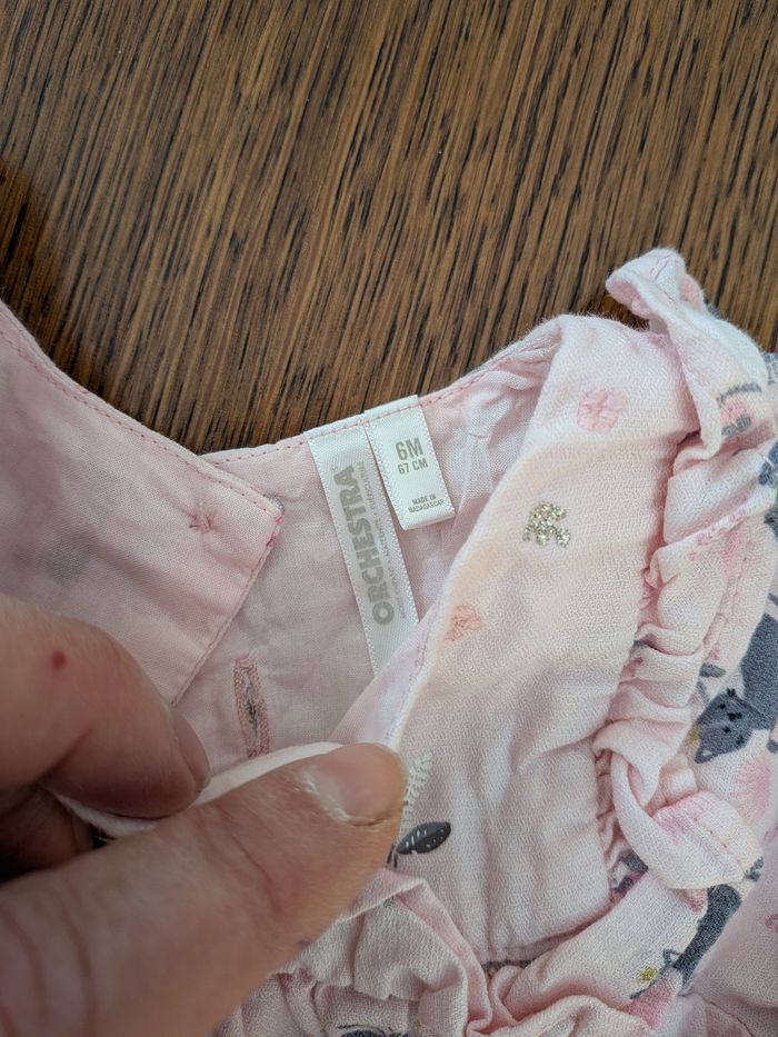 Ensemble Orchestra - photo numéro 4