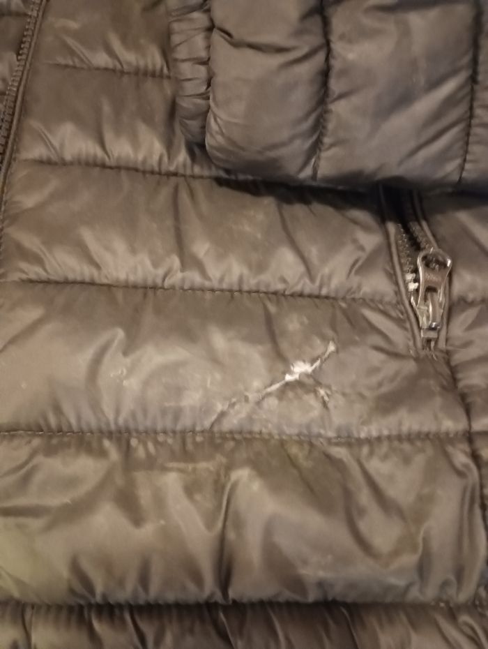 Veste Teddy Smith - photo numéro 9