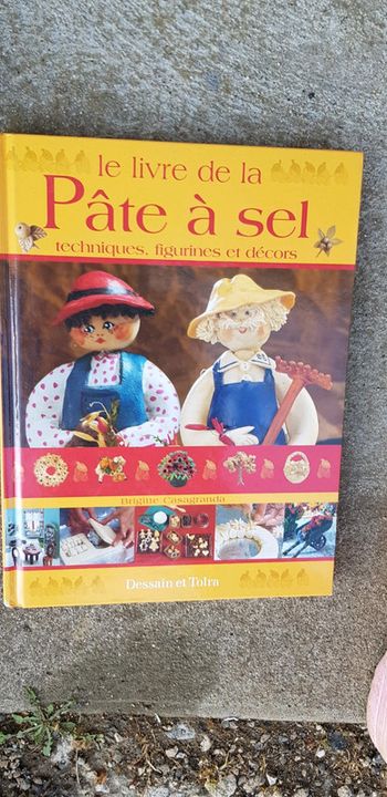 Livre pate a sel