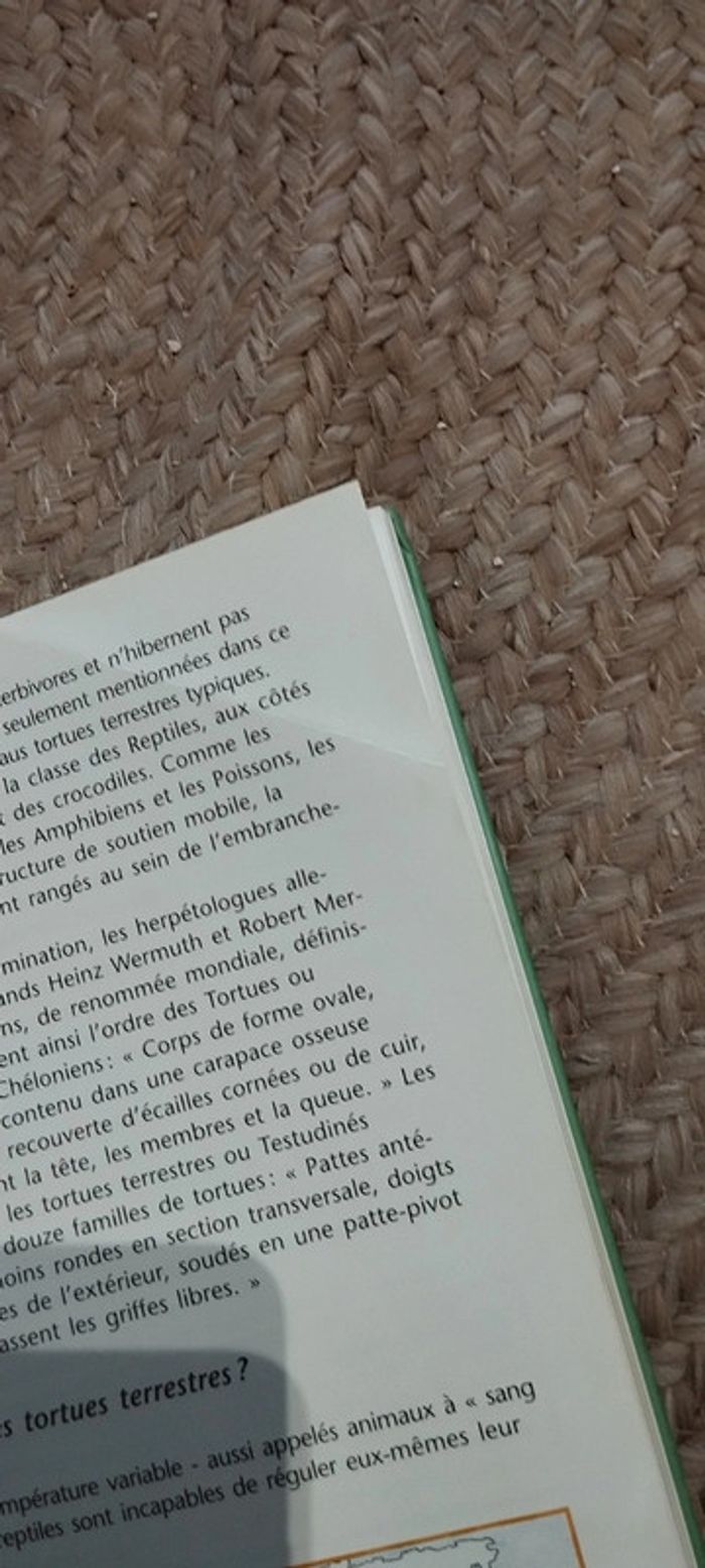 Guides tortues terrestres - photo numéro 3