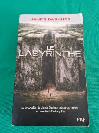 Le labyrinthe L'épreuve Livre 1 James Dashner
