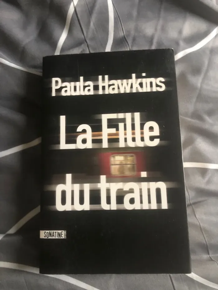 Livre la fille du train 📕 - photo numéro 2