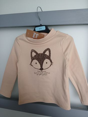 Pull 2-3 ans