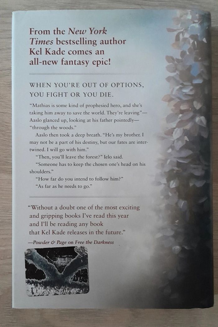 Kel kade fate of the fallen - photo numéro 10