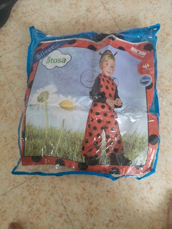 Costume coccinelle