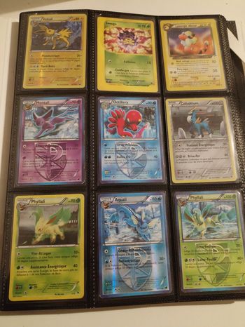 Carte Pokémon