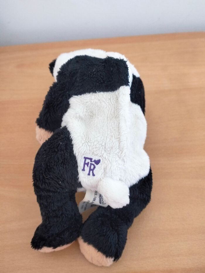 Panda Newborn - photo numéro 2