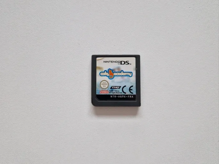 Jeu Nintendo Ds Catz Academy