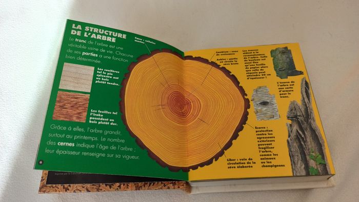 Livre Secrets de l'arbre - photo numéro 4