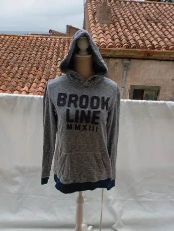 Sweat à capuche Bizzbee