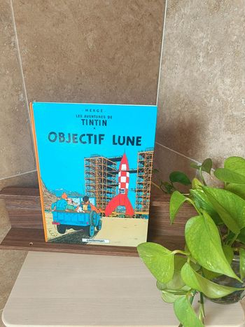 Livre enfant Tintin objectif lune