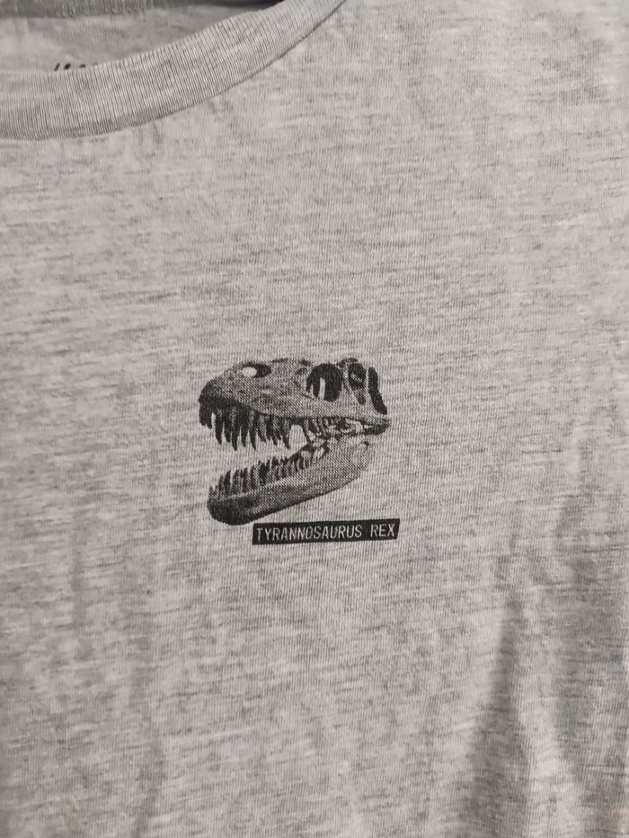 T-shirt dinosaure garçon 10 ans - photo numéro 2