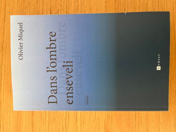 Dans l'ombre enseveli - Olivier Miquel