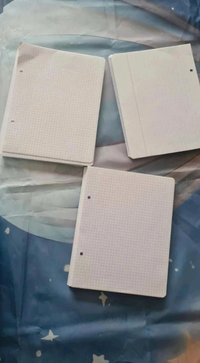 Lot  feuille  petit  et  grand  carreaux - photo numéro 7
