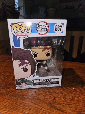 Demon Slayer – Tanjiro Kamado #867