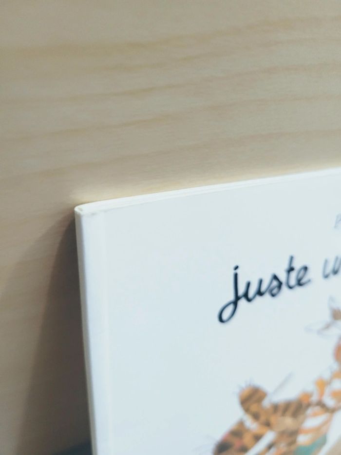 🌺 Livre (école des loisirs) : Juste un peu sale ! - photo numéro 8