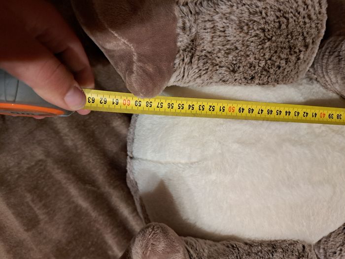 Peluche koala xxl - photo numéro 4