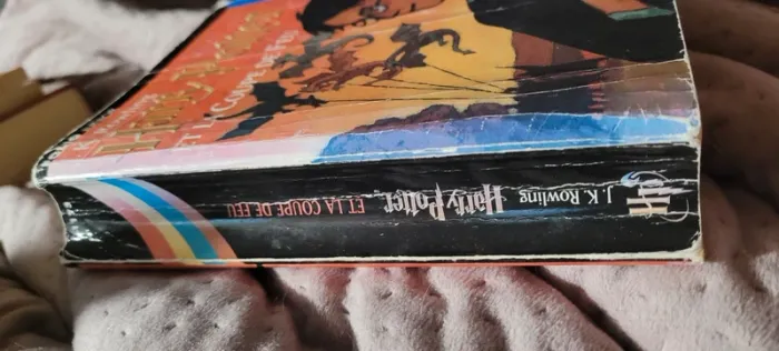 Harry potter et la coupe de feu - photo numéro 2
