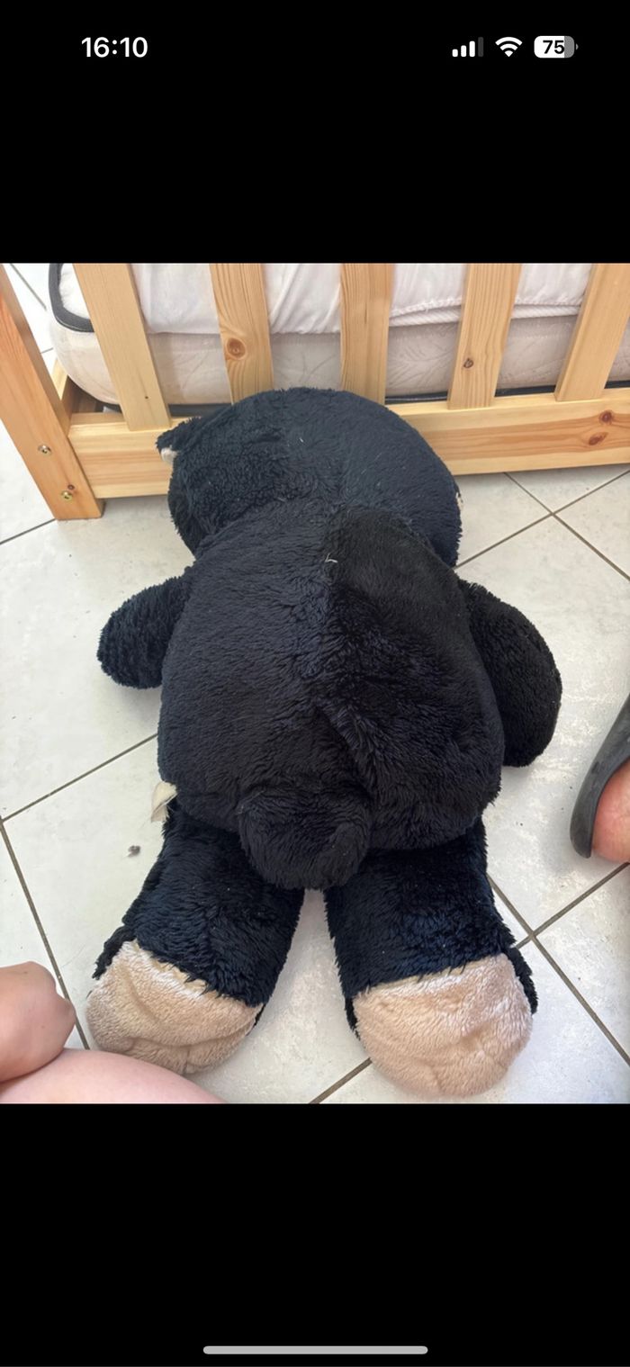 Peluche - photo numéro 2