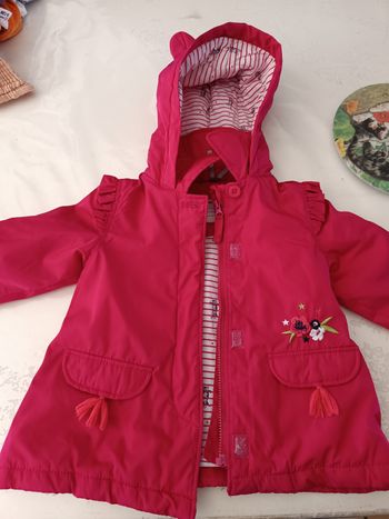 Manteau chat