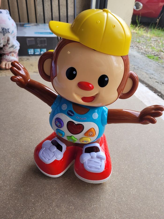 Titi ouistiti - photo numéro 4