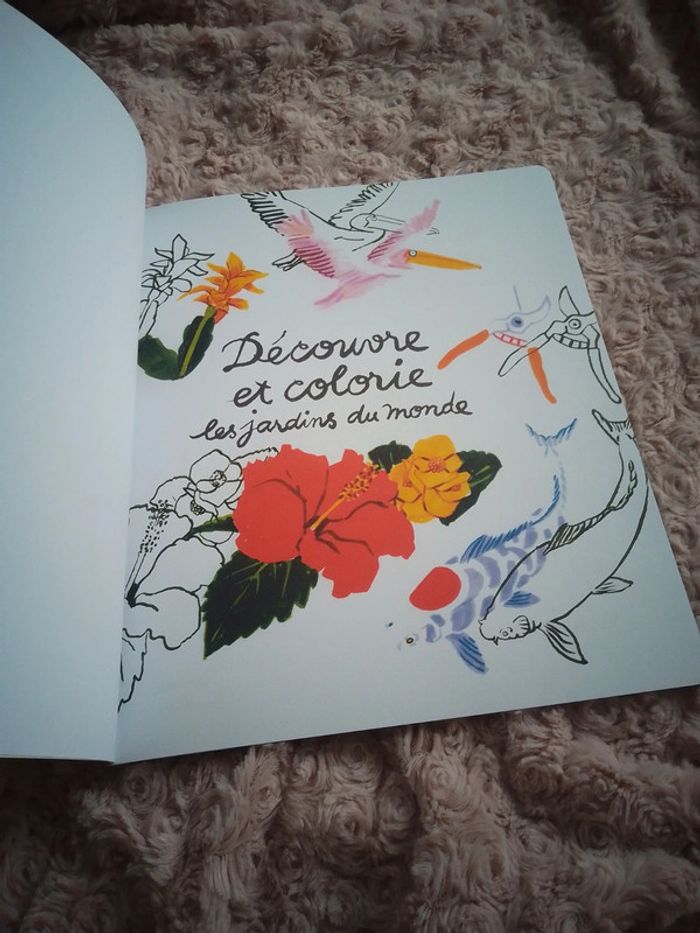 Lot de 2 livres pour enfants - photo numéro 6