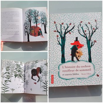 Très beau livre L'Histoire du cochon 🐖 renifleur de sommeil et autres fables 63