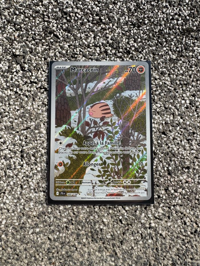 Carte Pokémon - Marcacrin 165/159 - Aventures Ensemble EV09 FR NEUVE - photo numéro 1