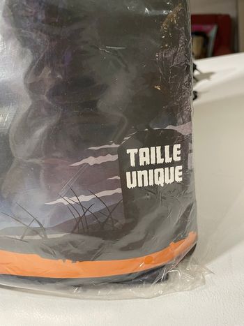 Déguisement sorcière 