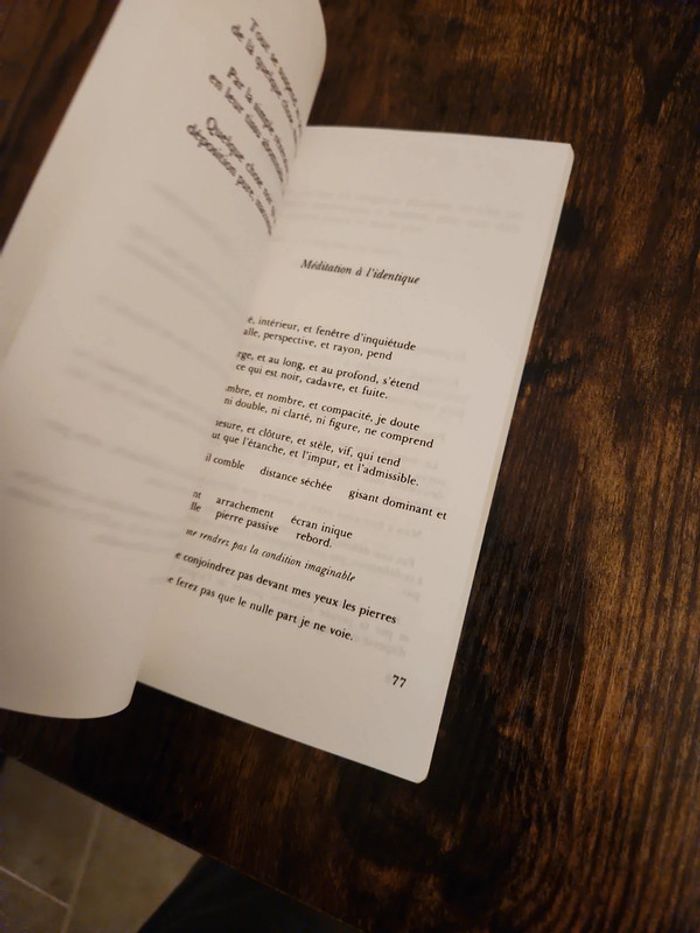 Livre : Quelques chose noir - photo numéro 5