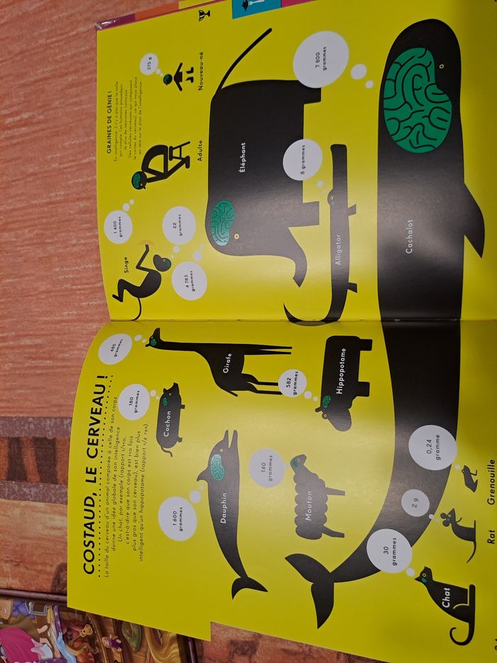 Le plein de choses - photo numéro 4