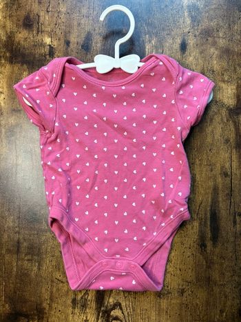 Body rose 6m