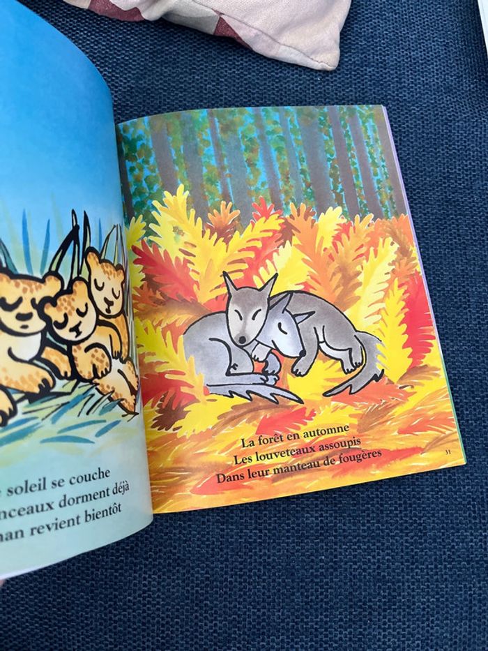 Livre - photo numéro 2