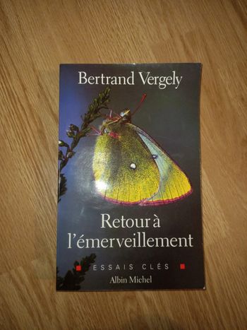 Livre retour a l'émerveillement de Bertrand vergely