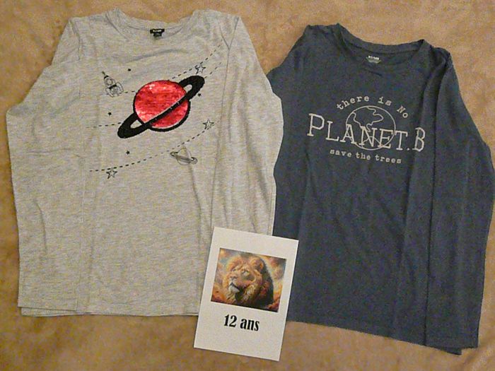 Lot de 2 tee-shirts 12 ans (n°5)
