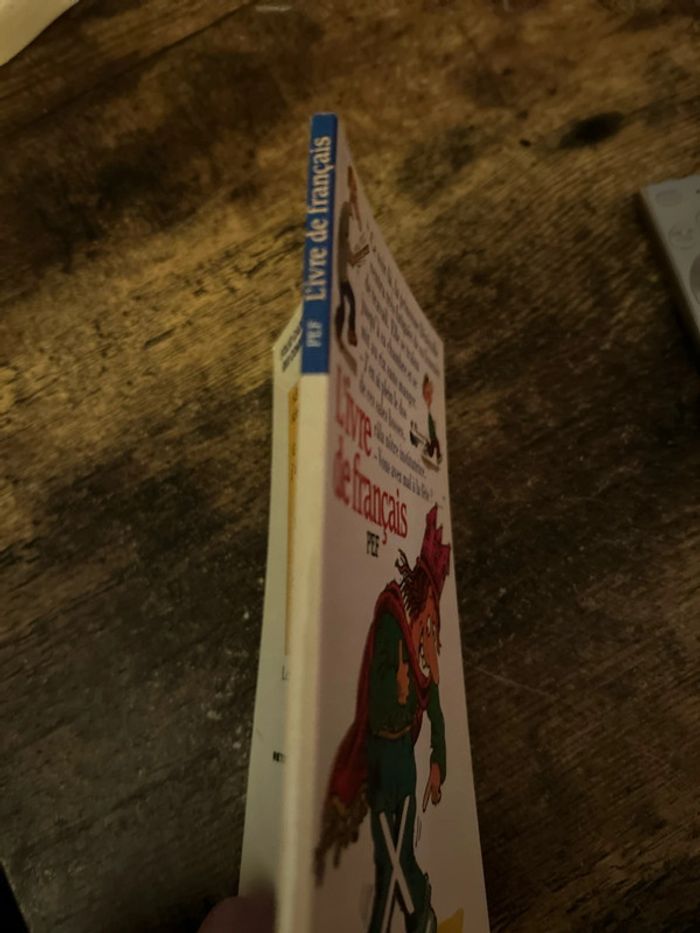 l’ivre de français - photo numéro 3