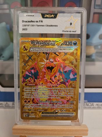 Dracaufeu 228 9