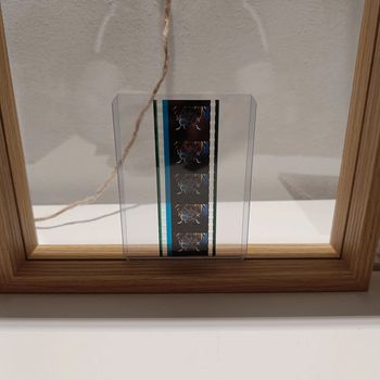 Pellicule démon slayer zenitsu