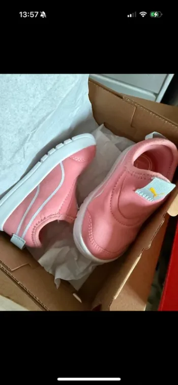Puma basket