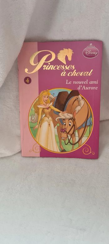 Livre Princesse a cheval le nouvel ami d'Aurore