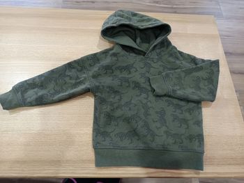 Sweat à capuche dinosaure primark 3/4 ans 104cm