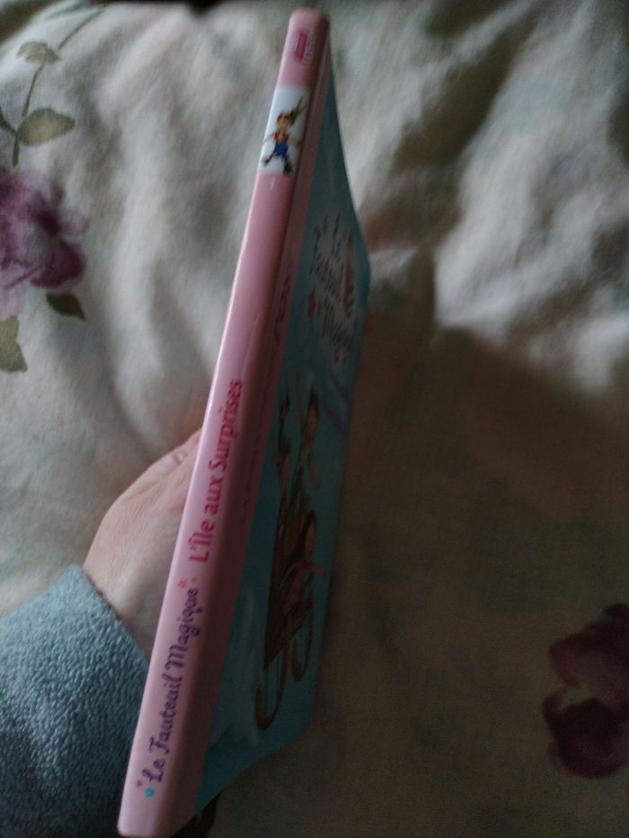 L'île aux surprises - photo numéro 3