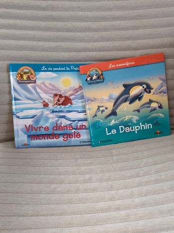 Lot 2 livres enfant