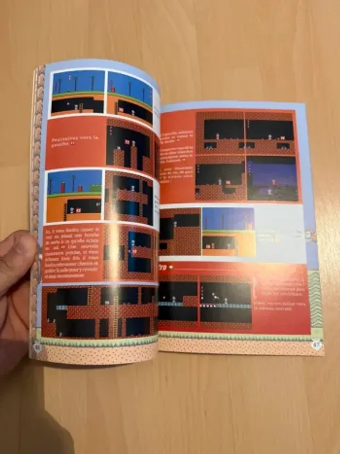 guide super Mario bros 2 - photo numéro 2
