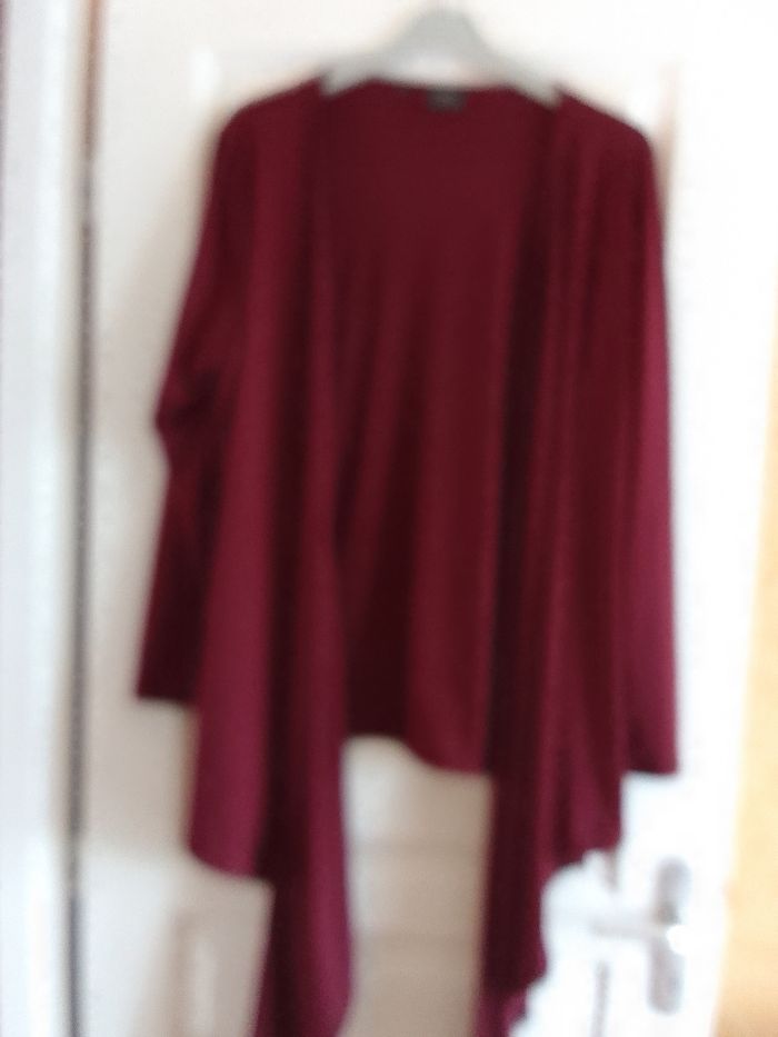 Gilet long - photo numéro 2