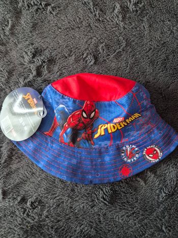 Bob spiderman